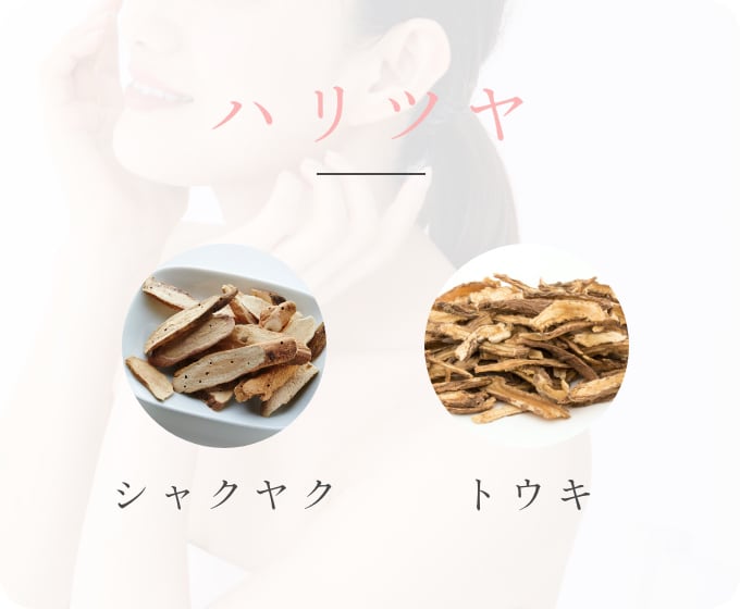 ハリツヤにはシャクヤク トウキ