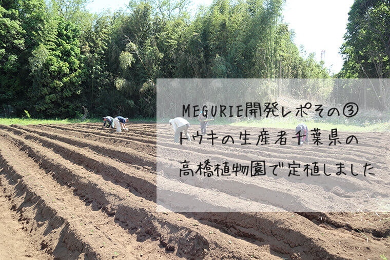 megurie開発レポ